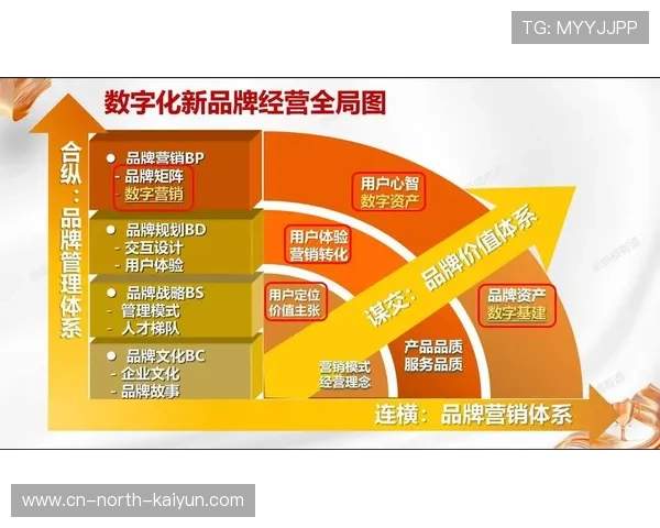 赞助体系数字化升级,提升品牌曝光可衡量性
